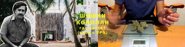 дурь Горнозаводск