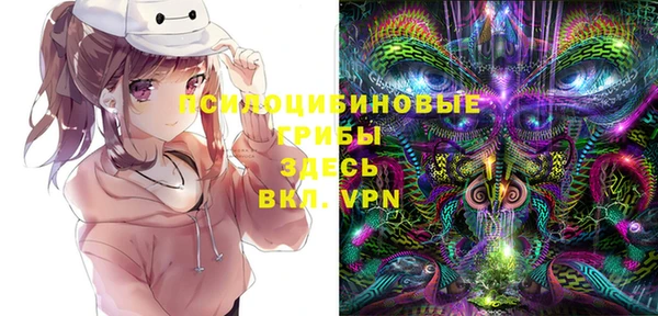дурь Горнозаводск