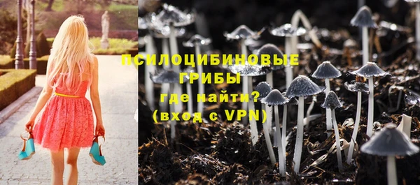дурь Горнозаводск