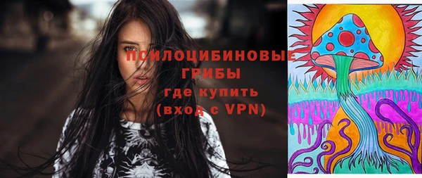дурь Горнозаводск