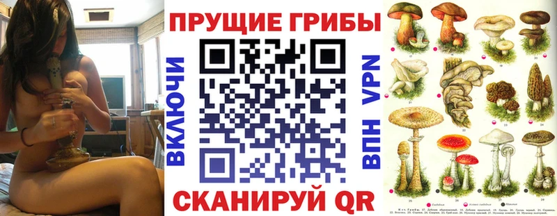 дарк нет состав  Севастополь  Псилоцибиновые грибы прущие грибы  наркошоп  МЕГА ТОР 